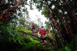 BIB: 
                            <button type="button" onclick="openModal(26202521)" class="btn btn-primary btn-sm float-right btn-popup" data-toggle="modal" data-target=".modal-high-quality">
                        <i class="fas fa-shopping-cart"></i> Add to Cart
                    </button>
                                            <button type="button" onclick="isThisMe(26202521, true)" class="btn btn-success btn-sm float-right btn-popup btn-isme hidden" data-toggle="tooltip" data-placement="bottom" title="นี่คือรูปของคุณใช่ไหม คลิกที่นี่เพื่อเอาเข้าอัลบั้ม">
                        <i class="fas fa-plus"></i> Add to album
                    </button>
                    <button type="button" onclick="isThisMe(26202521, false)" class="btn btn-warning btn-sm float-right btn-popup btn-isnotme hidden">
                        <i class="fas fa-ban"></i> Remove from album
                    </button>